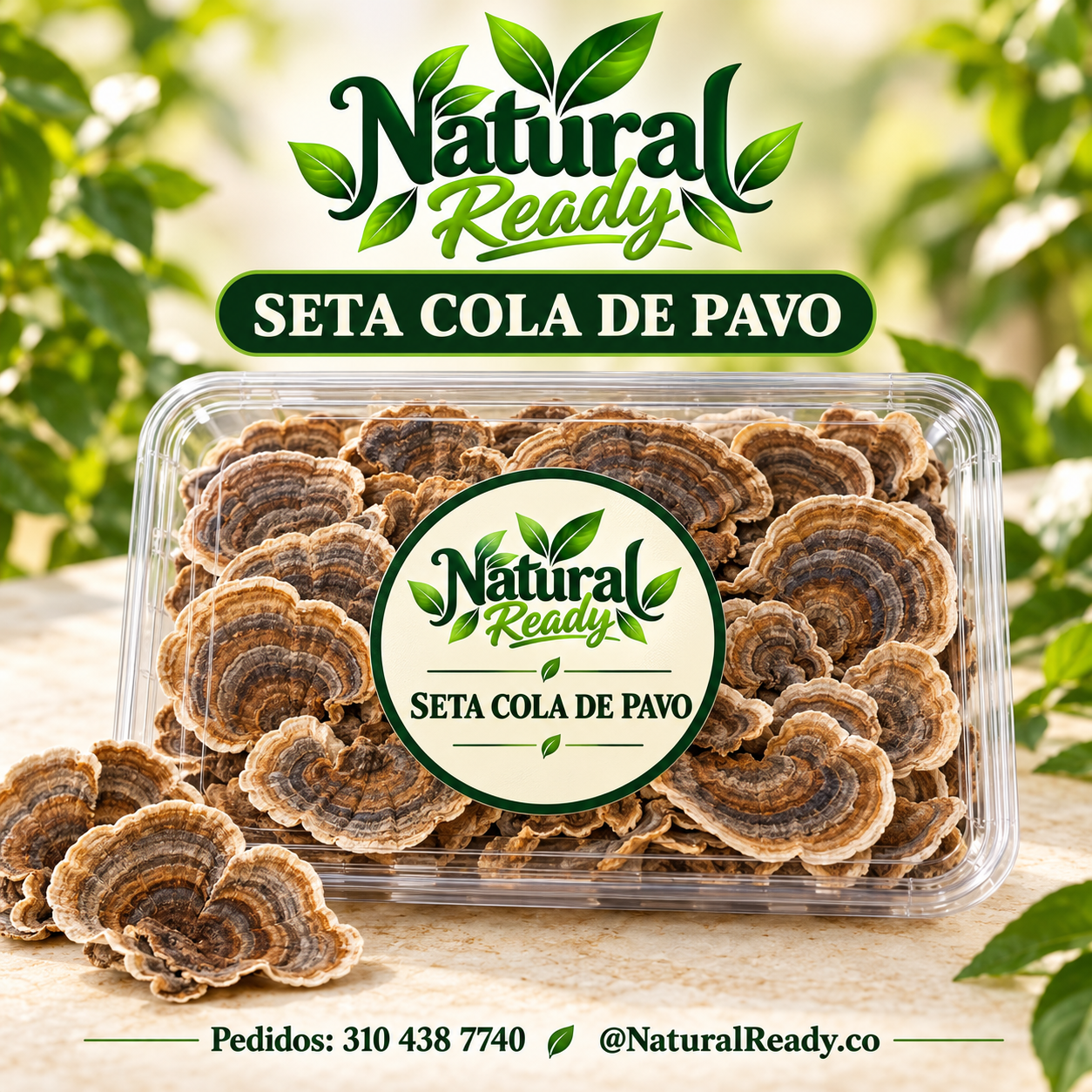 Seta cola de pavo consulta presentación, presentación Natural Ready
